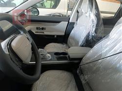 جيتور داشينج